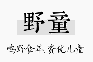 野童名字的寓意及含义