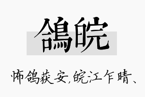 鸽皖名字的寓意及含义