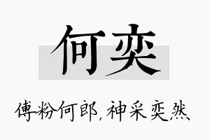 何奕名字的寓意及含义