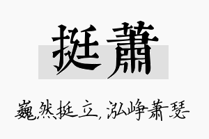 挺萧名字的寓意及含义