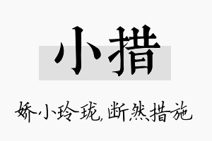 小措名字的寓意及含义