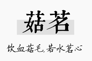 菇茗名字的寓意及含义