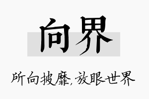 向界名字的寓意及含义