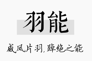 羽能名字的寓意及含义