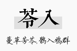 苓入名字的寓意及含义