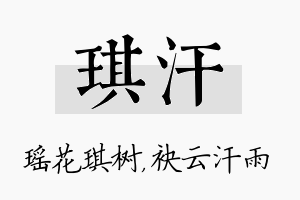 琪汗名字的寓意及含义