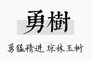 勇树名字的寓意及含义