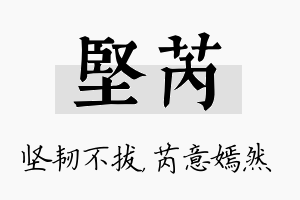 坚芮名字的寓意及含义