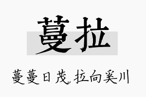 蔓拉名字的寓意及含义