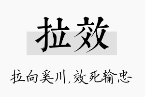 拉效名字的寓意及含义