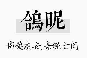 鸽昵名字的寓意及含义