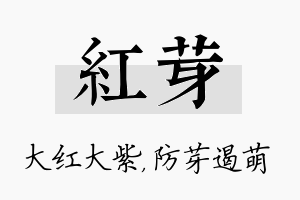 红芽名字的寓意及含义