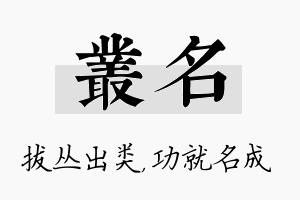 丛名名字的寓意及含义