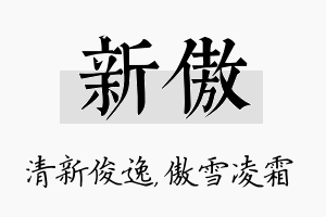 新傲名字的寓意及含义