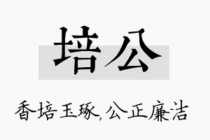 培公名字的寓意及含义