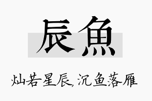 辰鱼名字的寓意及含义