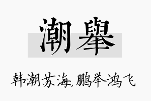 潮举名字的寓意及含义