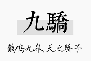 九骄名字的寓意及含义