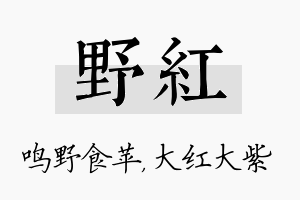 野红名字的寓意及含义