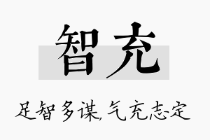 智充名字的寓意及含义