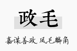 政毛名字的寓意及含义