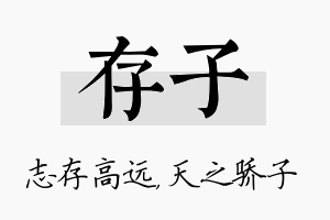 存子名字的寓意及含义