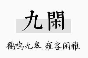 九闲名字的寓意及含义