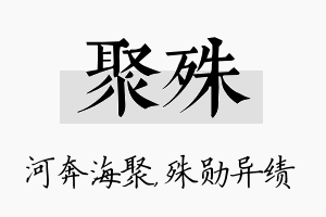 聚殊名字的寓意及含义