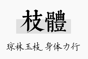 枝体名字的寓意及含义