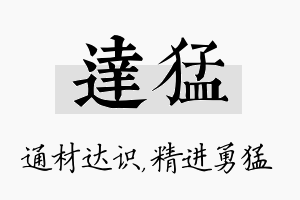 达猛名字的寓意及含义