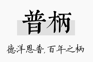 普柄名字的寓意及含义