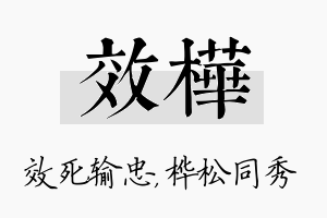 效桦名字的寓意及含义