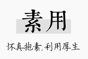 素用名字的寓意及含义