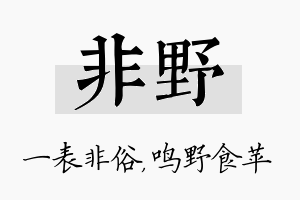 非野名字的寓意及含义