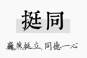 挺同名字的寓意及含义