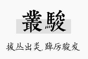 丛骏名字的寓意及含义