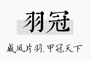 羽冠名字的寓意及含义