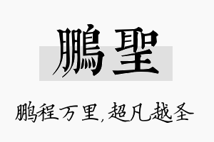 鹏圣名字的寓意及含义