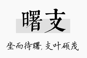 曙支名字的寓意及含义