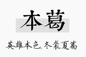 本葛名字的寓意及含义