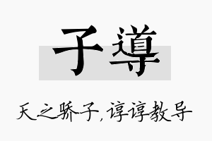 子导名字的寓意及含义