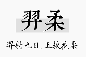 羿柔名字的寓意及含义