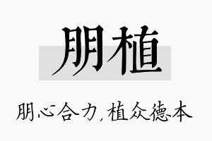 朋植名字的寓意及含义