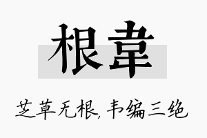 根韦名字的寓意及含义