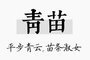 青苗名字的寓意及含义