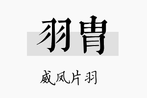 羽胄名字的寓意及含义