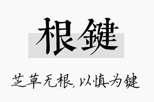 根键名字的寓意及含义