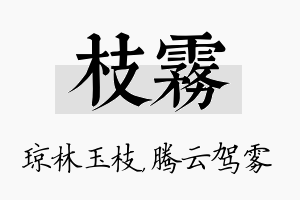 枝雾名字的寓意及含义