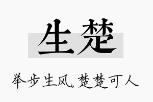 生楚名字的寓意及含义