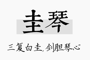 圭琴名字的寓意及含义